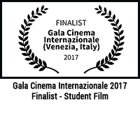 Gala Cinema Internazionale Venezia, Italy 2017